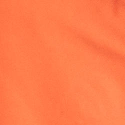 Bright Preppy Orange