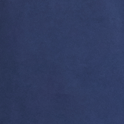 Spring Navy