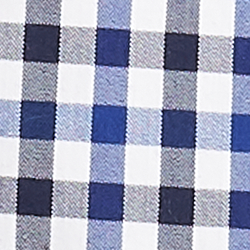Navy Gingham