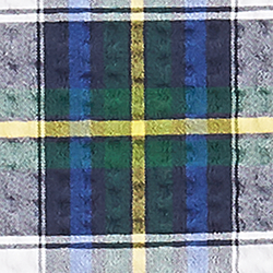 Summer Tartan Seersucker