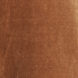 Dark Camel
