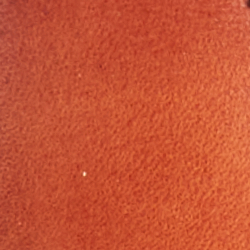 Polo Tan