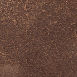 Chocolate Brown