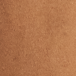 New Vicuna