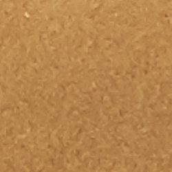 Vicuna
