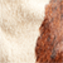 Cream/Brown Multi