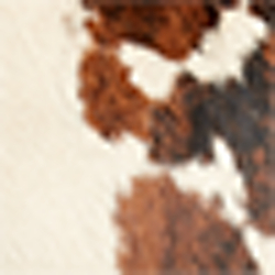 Cream/Brown Multi