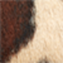 Brown Multi