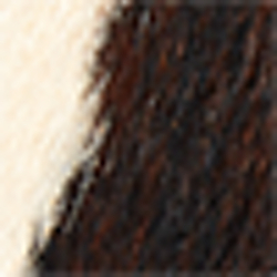 Brown Multi