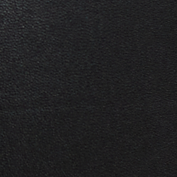 Polo Black
