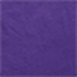 Purple Cactus