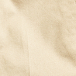 Coastal Beige