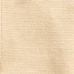 Fall Khaki