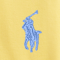 Sunfish Yellow