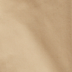 Coastal Beige