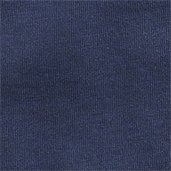 Cruise Navy