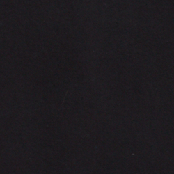 Polo Black