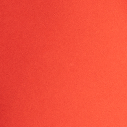 Sporting Orange