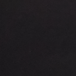 Polo Black