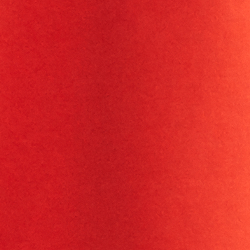Sporting Orange