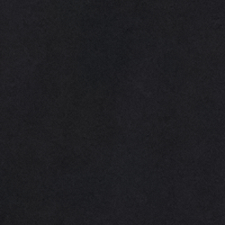 Polo Black