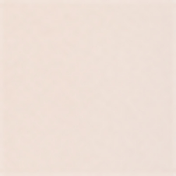 Pasadena Blush