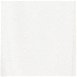 Pale Cream