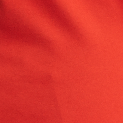 Sporting Orange