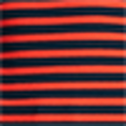 Navy/Sporting Orange