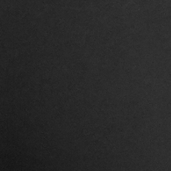 Polo Black
