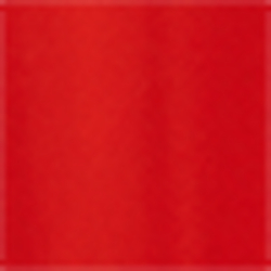 Sporting Orange