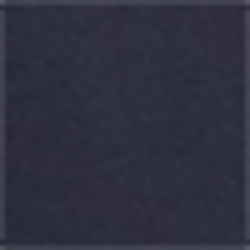 Lauren Navy/Sporting Orn/