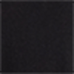 Polo Black