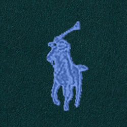 Schottische Kiefer meliert