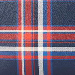 Navy Barnes Plaid