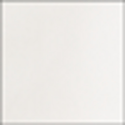 Pure White
