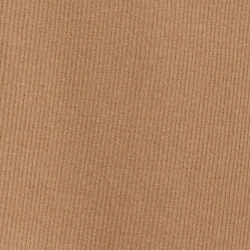 Classic Camel
