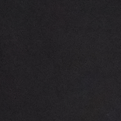 Polo Black