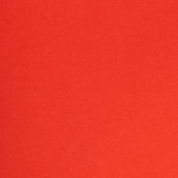 Sporting Orange