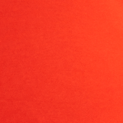 Sporting Orange