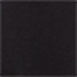 Polo Black
