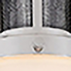 Polished Nickel