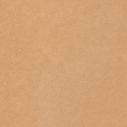 New Vicuna