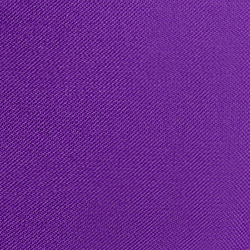Bright Purple