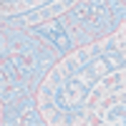 Blue Paisley