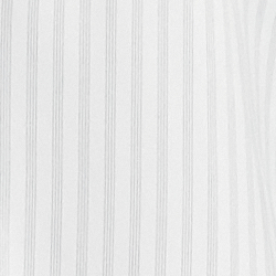 Grey Stripe