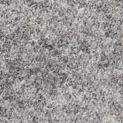 Grey Heather
