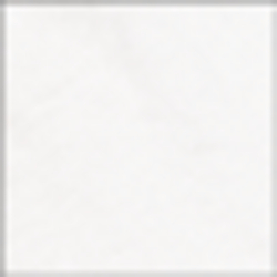 Classic Oxford White