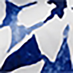 Blu multicolore