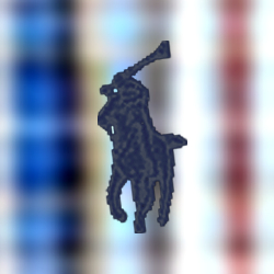 Morgan Plaid/ Navy Pp